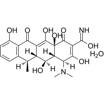 Doxycycline Monohydrate