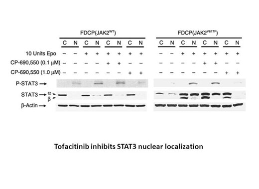 Tofacitnib Citrate3