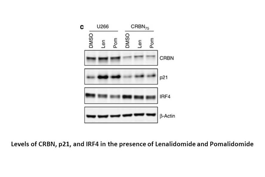 Related Biological Data2