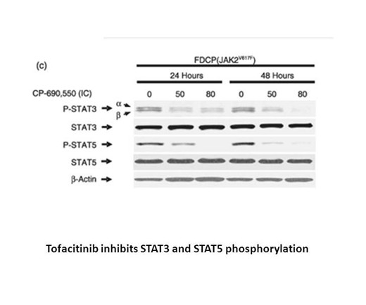 Tofacitnib Citrate2